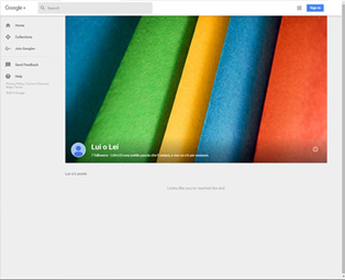 Google Plus Pages